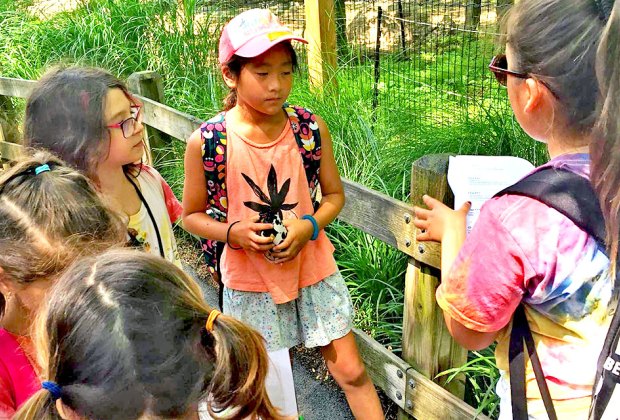 1st and 2nd grade Summer Camp near East Brunswick