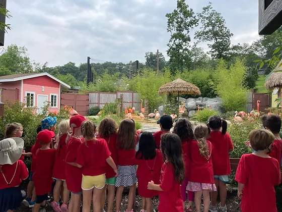1st and 2nd grade Summer Camp near Metuchen