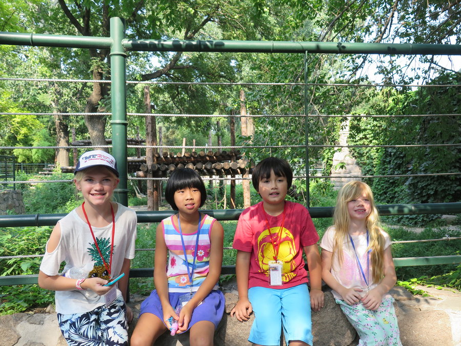 5th and 6th grade Summer Camp near 07091